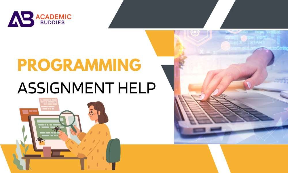 Get Programming Assignment Help services in New Zealand