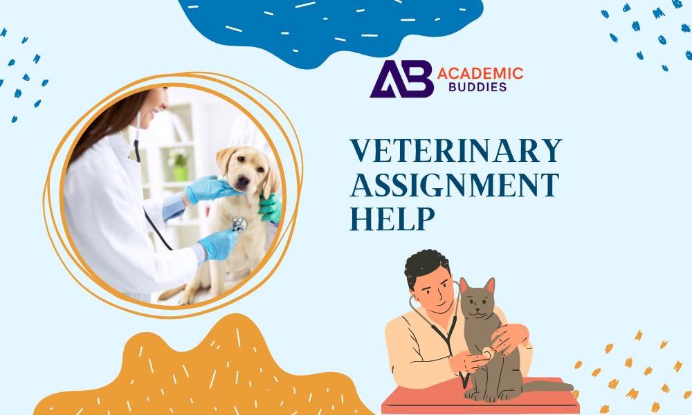 Get Top Veterinary assignment Help Services in UK