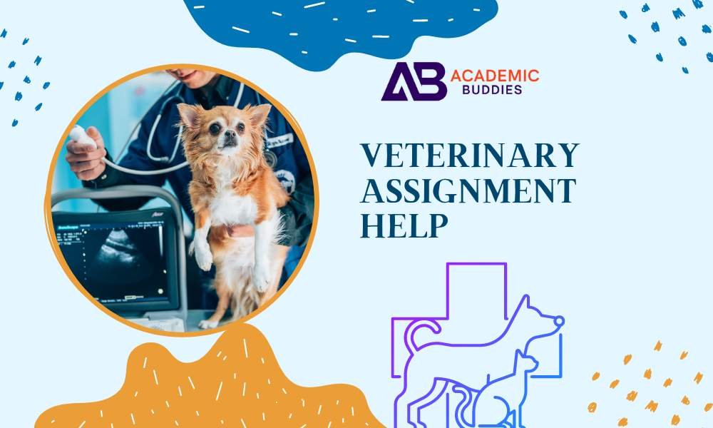 Veterinary Assignment Help in Ireland By PhD Tutors